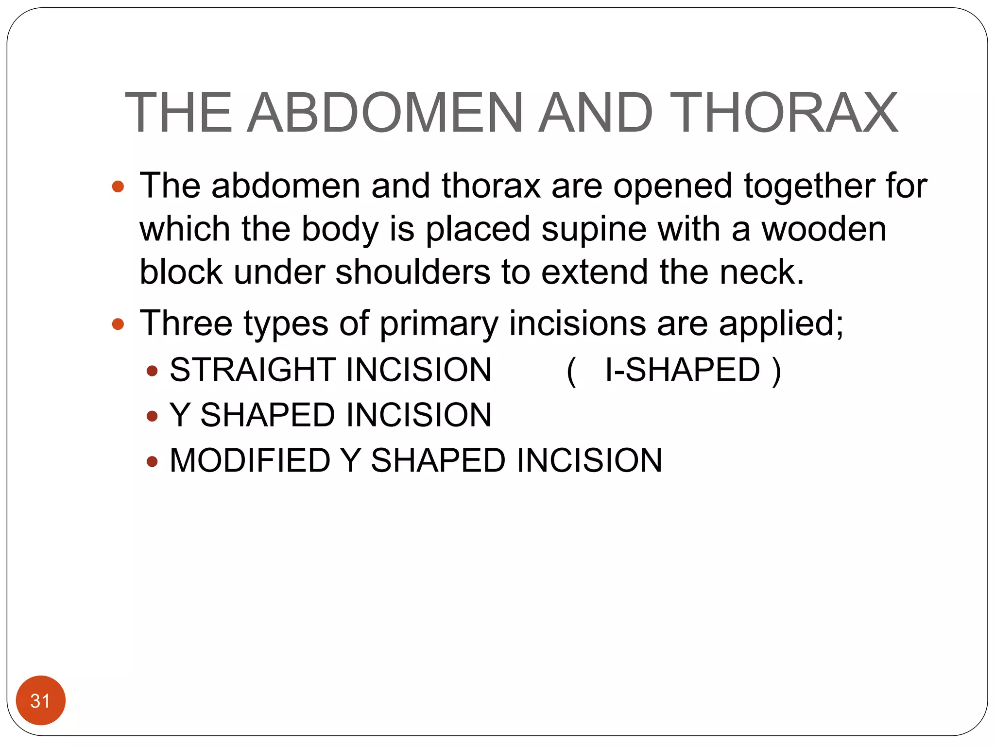 THE ABDOMEN AND THORAX
31
 The abdomen and thorax are opened together for
which the body is placed supine with a wooden
block under shoulders to extend the neck.
 Three types of primary incisions are applied;
 STRAIGHT INCISION ( I-SHAPED )
 Y SHAPED INCISION
 MODIFIED Y SHAPED INCISION
 