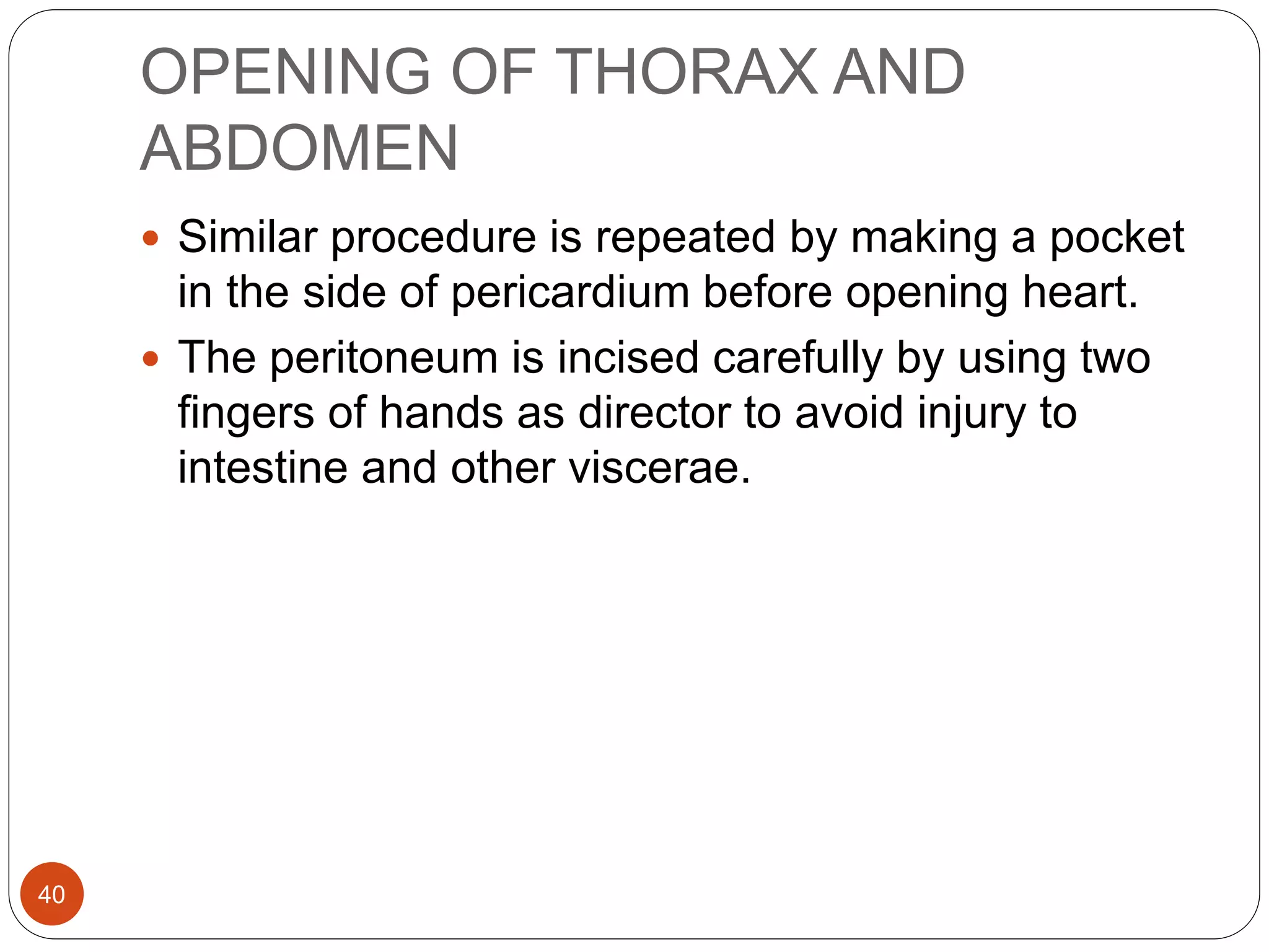 OPENING OF THORAX AND
ABDOMEN
40
 Similar procedure is repeated by making a pocket
in the side of pericardium before opening heart.
 The peritoneum is incised carefully by using two
fingers of hands as director to avoid injury to
intestine and other viscerae.
 