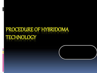 PROCEDURE OF HYBRIDOMA
TECHNOLOGY
 
