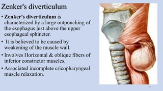 Zenker's diverticulum
• Zenker's diverticulum is
characterized by a large outpouching of
the esophagus just above the upper
esophageal sphincter.
• It is believed to be caused by
weakening of the muscle wall.
• Involves Horizontal & oblique fibers of
inferior constrictor muscles.
• Associated incomplete cricopharyngeal
muscle relaxation.
35
 