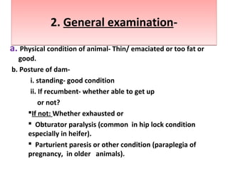 2. General examination-2. General examination-
a. Physical condition of animal- Thin/ emaciated or too fat or
good.
b. Posture of dam-
i. standing- good condition
ii. If recumbent- whether able to get up
or not?
If not: Whether exhausted or
 Obturator paralysis (common in hip lock condition
especially in heifer).
 Parturient paresis or other condition (paraplegia of
pregnancy, in older animals).
 