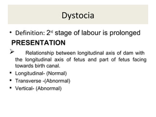 Dystocia
• Definition: 2nd
stage of labour is prolonged
PRESENTATION
 Relationship between longitudinal axis of dam with
the longitudinal axis of fetus and part of fetus facing
towards birth canal.
 Longitudinal- (Normal)
 Transverse -(Abnormal)
 Vertical- (Abnormal)
 