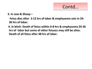 Contd…Contd…
3. In cow & Sheep –
Fetus dies after 3-12 hrs of labor & emphysema sets in 24-
36 hrs of labor.
4. In bitch- Death of fetus within 6-8 hrs & emphysema 24-36
hrs of labor but some of other fetuses may still be alive.
Death of all fetus after 48 hrs of labor.
 