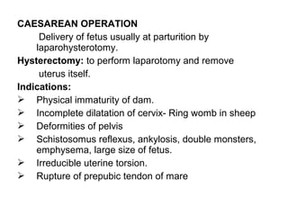 CAESAREAN OPERATION
Delivery of fetus usually at parturition by
laparohysterotomy.
Hysterectomy: to perform laparotomy and remove
uterus itself.
Indications:
 Physical immaturity of dam.
 Incomplete dilatation of cervix- Ring womb in sheep
 Deformities of pelvis
 Schistosomus reflexus, ankylosis, double monsters,
emphysema, large size of fetus.
 Irreducible uterine torsion.
 Rupture of prepubic tendon of mare
 