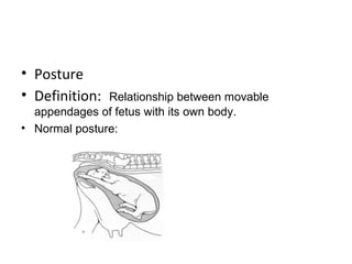 • Posture
• Definition: Relationship between movable
appendages of fetus with its own body.
• Normal posture:
 