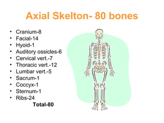 Axial Skelton- 80 bones Cranium-8 Facial-14 Hyoid-1 Auditory ossicles-6 Cervical vert.-7 Thoracic vert.-12 Lumbar vert.-5 Sacrum-1 Coccyx-1 Sternum-1 Ribs-24 Total-80 