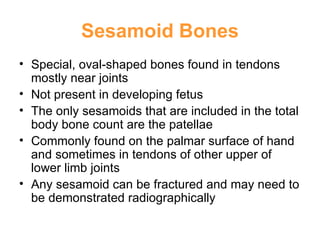 Sesamoid Bones Special, oval-shaped bones found in tendons mostly near joints Not present in developing fetus The only sesamoids that are included in the total body bone count are the patellae Commonly found on the palmar surface of hand and sometimes in tendons of other upper of lower limb joints Any sesamoid can be fractured and may need to be demonstrated radiographically 