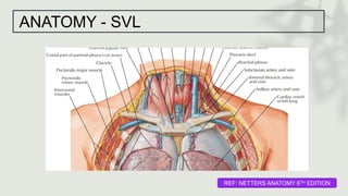 ANATOMY - SVL
REF: NETTERS ANATOMY 6TH EDITION
 