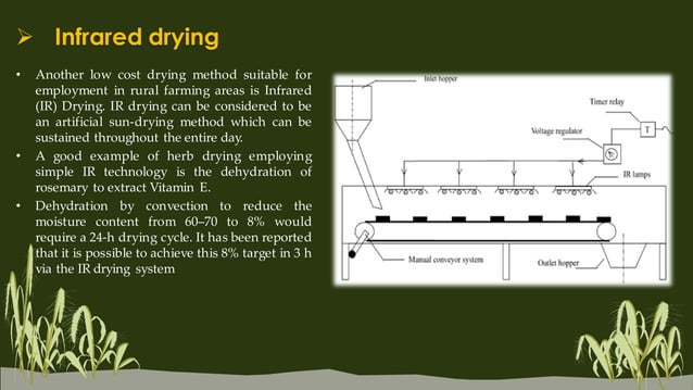 Drying Procedures of Medicinal & Aromatic plants | PDF | Gardening ...