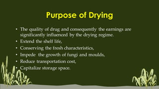 Drying Procedures of Medicinal & Aromatic plants | PDF