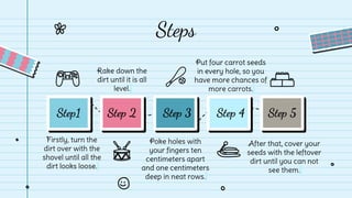 Steps
Step 5
Step 4
Step 3
Step 2
Step1
Put four carrot seeds
in every hole, so you
have more chances of
more carrots.
Rake down the
dirt until it is all
level.
After that, cover your
seeds with the leftover
dirt until you can not
see them.
Poke holes with
your fingers ten
centimeters apart
and one centimeters
deep in neat rows.
Firstly, turn the
dirt over with the
shovel until all the
dirt looks loose.
 