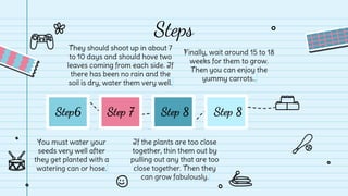 Steps
Step 8
Step 8
Step 7
Step6
Finally, wait around 15 to 18
weeks for them to grow.
Then you can enjoy the
yummy carrot...