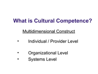What is Cultural Competence?
Multidimensional Construct
• Individual / Provider Level
• Organizational Level
• Systems Level
 