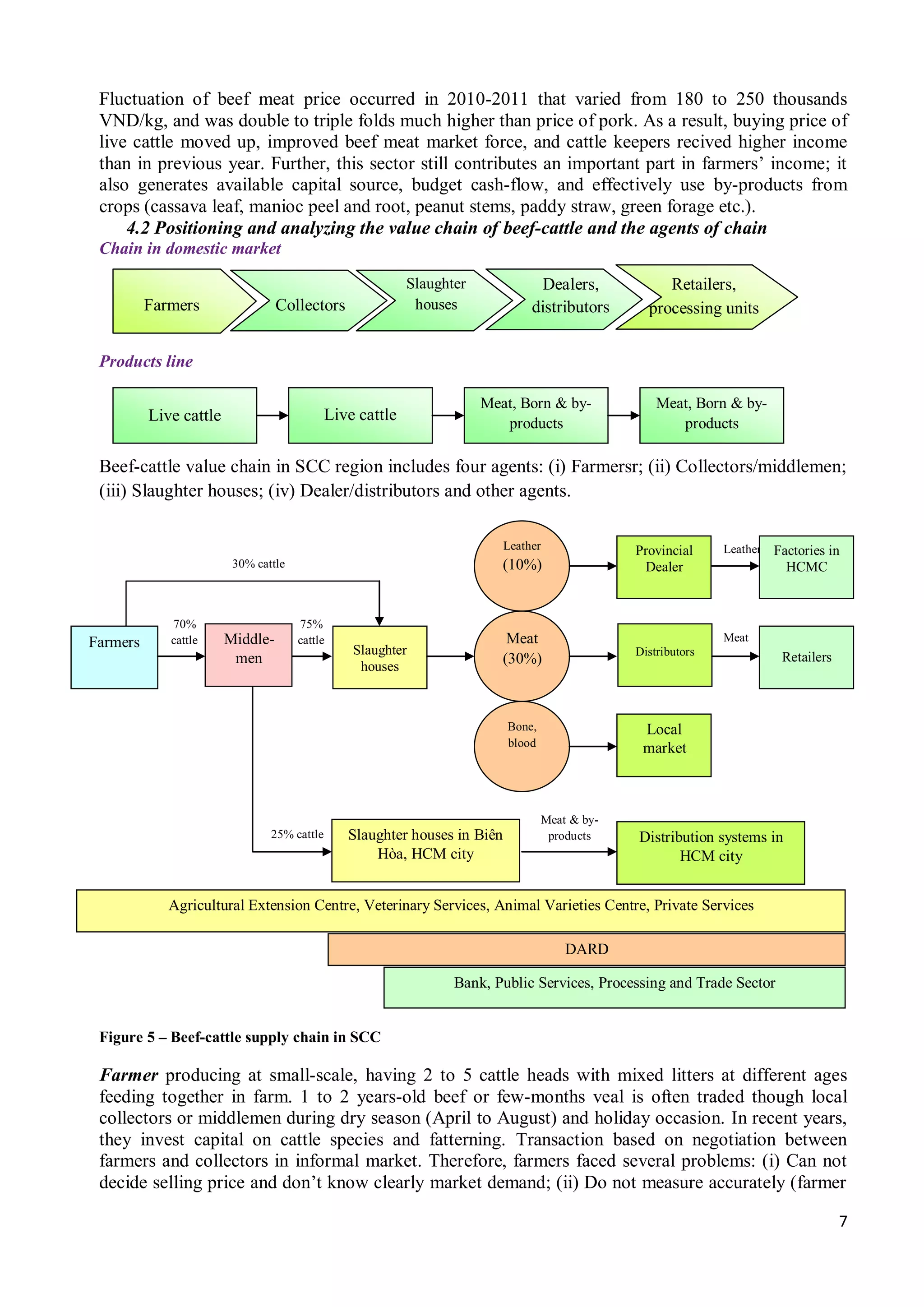 7
Fluctuation of beef meat price occurred in 2010-2011 that varied from 180 to 250 thousands
VND/kg, and was double to triple folds much higher than price of pork. As a result, buying price of
live cattle moved up, improved beef meat market force, and cattle keepers recived higher income
than in previous year. Further, this sector still contributes an important part in farmers’ income; it
also generates available capital source, budget cash-flow, and effectively use by-products from
crops (cassava leaf, manioc peel and root, peanut stems, paddy straw, green forage etc.).
4.2 Positioning and analyzing the value chain of beef-cattle and the agents of chain
Chain in domestic market
Products line
Beef-cattle value chain in SCC region includes four agents: (i) Farmersr; (ii) Collectors/middlemen;
(iii) Slaughter houses; (iv) Dealer/distributors and other agents.
Figure 5 – Beef-cattle supply chain in SCC
Farmer producing at small-scale, having 2 to 5 cattle heads with mixed litters at different ages
feeding together in farm. 1 to 2 years-old beef or few-months veal is often traded though local
collectors or middlemen during dry season (April to August) and holiday occasion. In recent years,
they invest capital on cattle species and fatterning. Transaction based on negotiation between
farmers and collectors in informal market. Therefore, farmers faced several problems: (i) Can not
decide selling price and don’t know clearly market demand; (ii) Do not measure accurately (farmer
Agricultural Extension Centre, Veterinary Services, Animal Varieties Centre, Private Services
DARD
Bank, Public Services, Processing and Trade Sector
Farmers Collectors
Dealers,
distributors
Retailers,
processing units
Slaughter
houses
Live cattle Live cattle
Meat, Born & by-
products
Meat, Born & by-
products
70%
cattle
75%
cattle
25% cattle
Meat & by-
products
Meat
Leather
Farmers Slaughter
houses
Leather
(10%)
Meat
(30%)
Bone,
blood
Slaughter houses in Biên
Hòa, HCM city
Local
market
Provincial
Dealer
Distributors
Factories in
HCMC
Retailers
Distribution systems in
HCM city
30% cattle
Middle-
men
 