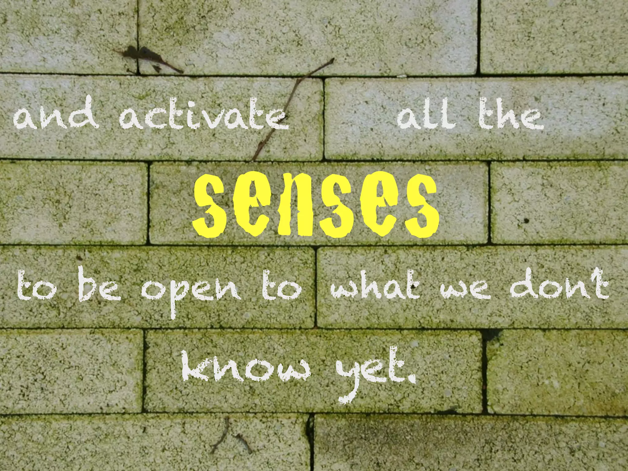 and activate     all the

       senses
to be open to what we don’t

       know yet.
 