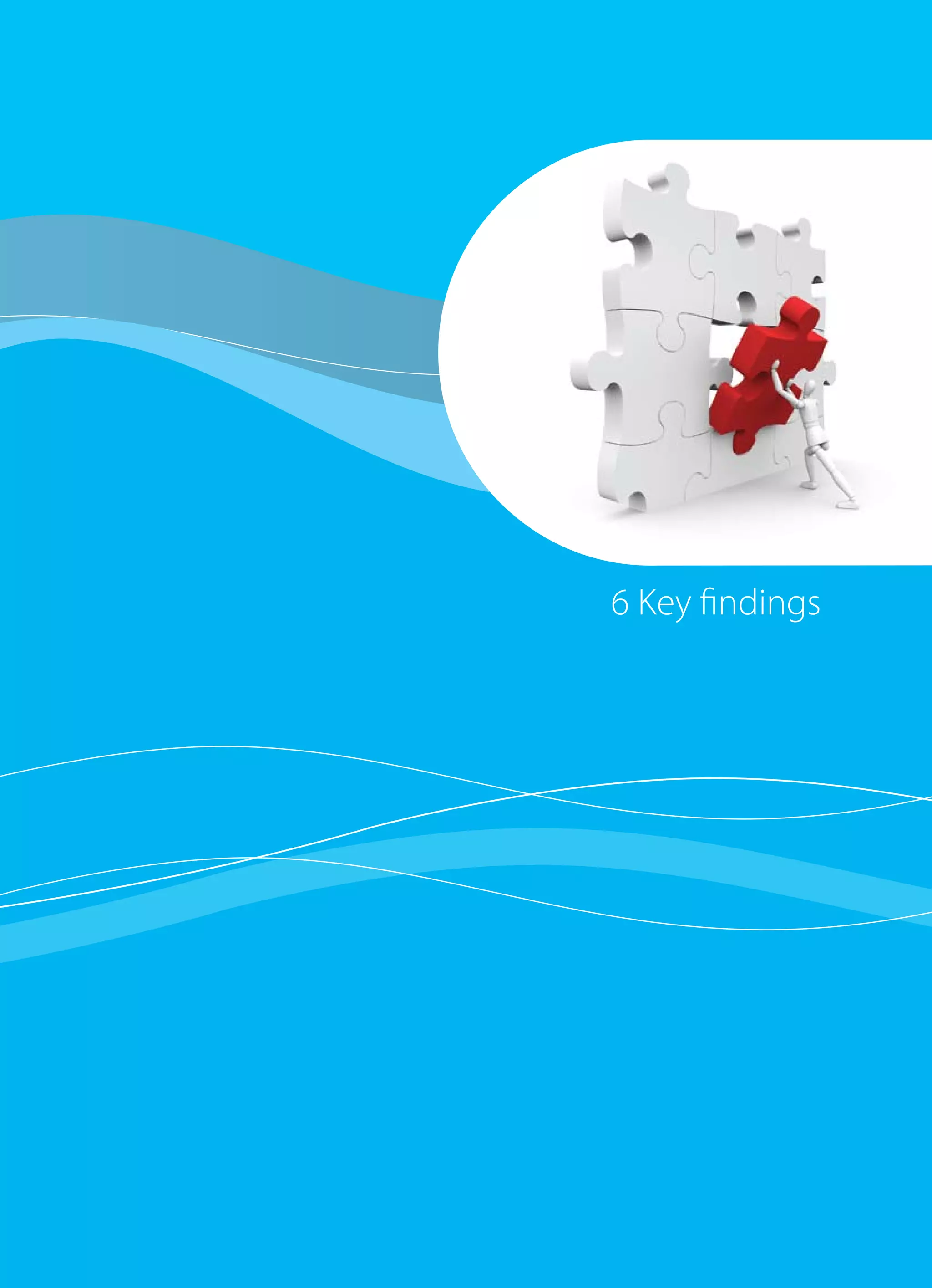 29
1 Executive summary
6 Key findings
 