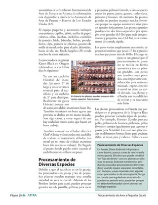 automático es la Exhibición Internacional de       y pequeñas gallinas Cornish, u otras especies
                    Aves de Pastura en Atlanta; la información         como los pavos, patos, gansos, codornices,
                    está disponible a través de la Asociación de       pichones y faisanes. Al contrario, las plantas
                    Aves de Pastura y Huevos de Los Estados            grandes no pueden manejar mucha diversi-
                    Unidos (42).                                       dad porque su equipo automático sirve para
                                                                       un tamaño únicamente. Las plantas grandes
                    El equipo pequeño y accesorios incluyen            pueden tener dos líneas separadas: por ejem-
                    saneamiento, cepillos, jabón, toallas de papel,    plo, aves grandes (6.5 lbs) para más procesa-
                    cubetas, ollas, escobas, cuchillos, cuchillos      miento y pequeñas aves (3.4 lbs) para restau-
                    de prender, hielo, básculas, bolsas, prende-       rantes de comida rápida.
                    dores, clips, guantes de plástico, guantes de
                    malla de metal, redes para el pelo, delantales,      Los pavos varían ampliamente en tamaño, de
                    botas de ule, etc. Koch Supplies (35) vende          pequeñas hembras que pesan 17 lbs a grandes
                    muchos de estos artículos.                           machos que pesan más de 40 lbs. El rango de
                                                                                             peso es tan grande que el
                    La procesadora en granja                                                 procesamiento de pavos
                    Karen Black en Oregon                                                    no se realiza en forma
                    refriendose a cuchillos                                                  automática aun en plan-
                    dice lo siguiente:                                                       tas grandes. Los pavos
                        Yo use un cuchillo                                                   son también muy pesa-
                        Heinkel de mon-                                                      dos, una importante con-
                        dar (de unos 2” de                                                   sideración para matanza
                        largo y una curvatura                                                manual, especialmente
                        reversa) para el sac-                                                si usted no tiene un car-
                        riﬁcio, y un cuchillo                                                ril elevado. Las plumas y
                                                En Francia las plantas pueden procesar dife- el buche son más difíciles
                        de 3” para destripar.
                        Realmente me gusta
                                                rentes especies. Foto: Landal.               de retirar y es necesario
                        Heinkel porque son                                                   más hielo.
                        de acero inoxidable, mantienen buen ﬁlo. Las plantas procesadoras en Francia que par-
                        También mantienen un buen agarre que ticipan en el programa de la Etiqueta Roja
                        previene se deslice en mi mano mojada. pueden procesar variados tipos de produc-
                        Son algo caros, y estoy segura de que tos. Por ejemplo, Fermier Llandes procesa
                        hay cuchillos menos caros que hacen un pollo, gallinitas de Guinea, pichones, gallos
                        buen trabajo.                                    jóvenes y conejos igualmente que capones y
                        También compré un afilador eléctrico           pavos para Navidad. Las aves son procesa-
                        Chef’s Choice y ahora todos mis cuchillos      das en diferentes formas: listas para cocinar,
                        de trabajo se mantienen afilados (un           eﬁlee, o dejan pies y cabeza. Eﬁlee es una
                        metal en mi mesa de trabajo mantiene
                        buen ﬁlo mientras trabajo). He llegado           Procesamiento de Diversas Especies
                        al punto donde puedo sentir cuando el            En Kansas, Diana Endicott (44) procesa
                        cuchillo necesita aﬁlarse un poco.               carne bovina, puerco y aves de rancho en la
                                                                         misma planta. Ella dice que puede ser difícil
                    Procesamiento de                                     “un ﬂujo de dinero” con una planta con sólo
                                                                         aves de granja. Endicott mantiene los pro-
                    Diversas Especies                                    ductos separados procesando en diferentes
                                                                         días y usando equipo separado, delantales,
                    Debido a que el sacriﬁcio es en la granja,           etc. Conejos, y aves especiales son algunas
                    los procesadores en granja y los de peque-           veces procesados en la misma planta. Tenga
                    ñas plantas pueden manejar una amplia                en cuenta que reguladores en su estado
                    variedad de aves de corral. Además de los            pueden no permitir esto, puede ser porque
                    Broilers (pollos para asar), pueden procesar         no están familiarizados con el proceso de
                    grandes aves de parrilla, gallinas para cocer        múltiple especies.


Página 20   ATTRA                                                        Procesamiento de Aves a Pequeña Escala
 