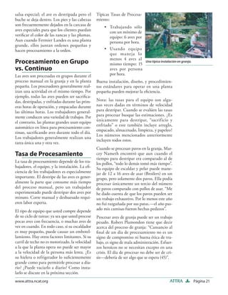 salsa especial; el ave es destripada pero el      Típicas Tasas de Procesa-
buche se deja dentro. Los pies y las cabezas      miento:
son frecuentemente dejados en la carcasa de
                                                      • Trabajando sólo
aves especiales para que los clientes puedan            con un mínimo de
veriﬁcar el color de las zancas y las plumas.           equipo: 6 aves por
Aun cuando Fermier Landes es una planta                 persona por hora.
grande, ellos juntan ordenes pequeñas y
hacen procesamiento a la orden.                       • Usando equipo
                                                        que ma neja lo
                                                        menos 4 aves al
Procesamiento en Grupo                                  mismo tiempo: 15
                                                                               Una típica instalación en granja.

vs. Continuo                                            aves por persona
Las aves son procesadas en grupos durante el            por hora.
proceso manual en la granja y en la planta        Buena instalación, diseño, y procedimien-
pequeña. Los procesadores generalmente real-      tos estándares para operar en una planta
izan una actividad en el mismo tiempo. Por        pequeña pueden mejorar la eﬁciencia.
ejemplo, todas las aves pueden ser sacriﬁca-
das, destripadas, y enfriadas durante las prim-   Nota: las tasas para el equipo son algu-
eras horas de operación, y empacadas durante      nas veces dadas en términos de velocidad
las últimas horas. Los trabajadores general-      para destripar. Cuando se evalúen las tasas
mente conducen una variedad de trabajos. Por      para procesar busque las estimaciones. ¿Es
el contrario, las plantas grandes usan equipo     únicamente para destripar, “sacrificio y
                                                  enfriado” o este también incluye arreglo,
automático en línea para procesamiento con-
                                                  empacado, almacenado, limpieza, y papeleo?
tinuo, sacriﬁcando aves durante todo el día.
                                                  Los números mencionados anteriormente
Los trabajadores generalmente realizan una
                                                  incluyen todos estos.
tarea única una y otra vez.
                                                  Cuando se procesan pavos en la granja, Mar-
Tasa de Procesamiento                             cey Nameth encontró que aun cuando el
                                                  tiempo para destripar era comparado al de
La tasa de procesamiento depende de los tra-      los pollos, “todo lo demás tomó más tiempo”.
bajadores, el equipo, y la instalación. La eﬁ-    Su equipo de escaldar y pelar puede mane-
ciencia de los trabajadores es especialmente      jar de 12 a 16 aves de asar (Broilers) en un
importante. El destripe de las aves es gener-     grupo, pero solamente dos pavos. Ella podía
almente la parte que consume más tiempo           procesar únicamente un tercio del número
del proceso manual, pero un trabajador            de pavos comparado con pollos de asar. “Me
experimentado puede destripar dos aves por        he dado cuenta de que los pavos pueden ser
minuto. Corte manual y deshuesado requi-          un trabajo exhaustivo. Por lo menos este año
eren labor experta.                               no fui razguñada por sus patas.—el año pas-
El tipo de equipo que usted compre depende        ado mis camisas fueron hechas pedazos”.
de su ciclo de tareas: ya sea que usted procese   Procesar aves de granja puede ser un trabajo
pocas aves con frecuencia, o muchas aves de       pesado. Robert Plamondon tiene que decir
vez en cuando. En todo caso, si su escaldador     acerca del proceso de granja: “Cansancio al
es muy pequeño, puede causar un embotel-          ﬁnal de un día de procesamiento no es un
lamiento. Hay otros factores limitantes. Si su    signo de compromiso ni buena ética de tra-
carril de techo no es motorizado, la velocidad    bajo, es signo de mala administración. Esfuer-
a la que la planta opera no puede ser mayor       zos heroicos no se necesitan excepto en una
a la velocidad de la persona más lenta. ¿Es       crisis. El día de procesar no debe ser de cri-
su hielera o refrigerador lo suﬁcientemente       sis—debería de ser algo que se espera (45)”.
grande como para permitirle procesar a dia-
rio? ¿Puede vaciarlo a diario? Como insta-
larlo se discute en la próxima sección.
www.attra.ncat.org                                                                              ATTRA              Página 21
 
