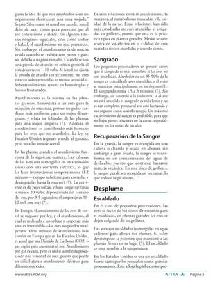 gusta la idea de que mis empleados usen un           Existen relaciones entre el aturdimiento, la
implemento eléctrico en una zona mojada.”            matanza, el metabolismo muscular, y la cal-
Según Silverman, si usted no aturde, usted           idad de la carne. Estas relaciones han sido
debe de usar conos para prevenir que el              más estudiadas en aves aturdidas y colga-
ave convulsione y aletee. En algunos ritu-           das en grilletes, puesto que esta es la prác-
ales religiosos especiales, tales como kosher        tica típica en plantas grandes. Menos se sabe
y halaal, el aturdimiento no está permitido.         acerca de los efectos en la calidad de aves
Sin embargo, el aturdimiento es de mucha             matadas sin ser aturdidas y usando conos.
ayuda cuando se trabaja con pavos y gan-
sos debido a su gran tamaño. Cuando se usa           Sangrado
una pistola de aturdir, es crítico ponerla al        Los pequeños procesadores en general creen
voltaje correcto –110 volts. Si usted no ajusta      que el sangrado es más completo si las aves no
la pistola de aturdir correctamente, sus aves        son aturdidas. Alrededor de un 35-50% de la
estarán sobreaturdidas o menos aturdidas.            sangre es extraída de aves aturdidas, y el resto
Sobreaturdimiento resulta en hemorragias y           se mantiene principalmente en los órganos (1).
huesos fracturados.                                  El sangrando toma 1.5 a 3 minutos (7). Sin
Aturdimiento es la norma en las plan-                embargo, de acuerdo a la industria, si el ave
                                                     no está aturdida el sangrado es más lento y no
tas grandes. Inmoviliza a las aves para la
                                                     es tan completo, porque el ave está luchando y
máquina de matanza, provee un pulso car-
                                                     sus órganos están usando sangre. Un máximo
diaco más uniforme para un mejor desan-
                                                     escurrimiento de sangre es preferible, para que
grado, y relaja los folículos de las plumas
                                                     no haya partes obscuras en la carne, especial-
para una mejor limpieza (7). Además, el              mente en las venas de las alas.
aturdimiento es considerado más humano
para las aves que no aturdirlas. La ley en
Estados Unidos requiere aturdir al ganado,           Recuperación de la Sangre
pero no a las aves de corral.                        En la granja, la sangre es recogida en una
                                                     cubeta o charola y usada en abonos, sin
En las plantas grandes, el aturdimiento fun-         embargo a gran escala, la sangre se trans-
ciona de la siguiente manera. Las cabezas            forma en un contaminante del agua de
de las aves son sumergidas en una solución           deshecho, puesto que contiene bastante
salina con una corriente eléctrica, lo que           materia orgánica. En una línea de grilletes,
las hace inconscientes temporalmente (1-2            la sangre puede ser recogida en un canal, lo
minutos—tiempo suﬁciente para cortarlas y            que reduce salpicaduras.
desangrarlas hasta la muerte) (7). La corri-
ente es de bajo voltaje y bajo amperaje (mas         Desplume
o menos 20 volts, dependiendo del tamaño
del ave, por 3-5 segundos; el amperaje es 10-        Escaldado
12 mA por ave) (7).
                                                     En el caso de pequeños procesadores, las
En Europa, el aturdimiento de las aves de cor-       aves se sacan de los conos de matanza para
ral se requiere por ley, y el aturdimiento, el       el escaldado, en plantas grandes las aves se
cual es realizado a un voltaje y amperaje más        dejan colgando de los grilletes.
alto, es irreversible—las aves no pueden recu-
                                                     Las aves son escaldadas (sumergidas en agua
perarse. Otro método de aturdimiento más
                                                     caliente) para aﬂojar sus plumas. El calor
común en Europa que en los Estados Unidos,
                                                     descompone la proteína que mantiene a las
es aquel que usa Dióxido de Carbono (CO2) o
                                                     plumas ﬁrmes en su lugar (5). El escaldado
gas argón para anestesiar el ave. Aturdimiento
                                                     es muy sensible a la temperatura.
por gas es caro, pero es útil si usted esta proce-
sando una variedad de aves, puesto que puede         En los Estados Unidos se usa un escaldado
ser difícil ajustar aturdimiento eléctrico para      fuerte tanto por los pequeños como grandes
diferentes especies.                                 procesadores. Este aﬂoja la piel exterior pro-
www.attra.ncat.org                                                                                 ATTRA   Página 5
 