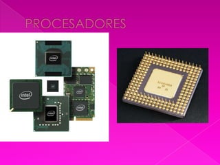 Procesador