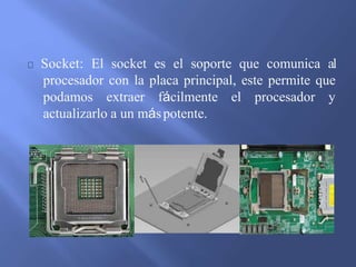 Socket: El socket es el soporte que comunica al
procesador con la placa principal, este permite que
podamos extraer fácilmente el procesador y
actualizarlo a un máspotente.
 