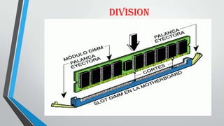 DIVISION
 