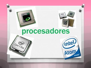 procesadores
 