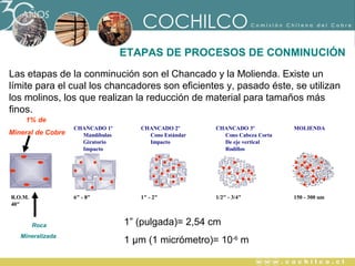 AÑOS

ETAPAS DE PROCESOS DE CONMINUCIÓN
Las etapas de la conminución son el Chancado y la Molienda. Existe un
límite para el cual los chancadores son eficientes y, pasado éste, se utilizan
los molinos, los que realizan la reducción de material para tamaños más
finos.
1% de

R.O.M.
40"

Roca
Mineralizada

CHANCADO 1º
Mandíbulas
Giratorio
Impacto

CHANCADO 2º
Cono Estándar
Impacto

CHANCADO 3º
Cono Cabeza Corta
De eje vertical
Rodillos

MOLIENDA

6" - 8"

Mineral de Cobre

1" - 2"

1/2" - 3/4"

150 - 300 um

1” (pulgada)= 2,54 cm
1 μm (1 micrómetro)= 10-6 m

 