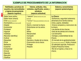 EJEMPLO DE PROCESAMIENTO DE LA INFORMACIÓN

  Habilidades y prácticas de          Valores, actitudes, ritos,                            Saberes y conocimientos
 acuerdo a las racionalidades      símbolos, significados, señas y                          (aspecto epistemológico)
  y lógicas de pensamiento                   señaleros
      (aspecto cognitivo)               (aspecto actitudinal)
-Saber hacer andino.              -“sawma” (ofrenda ritual de humo a las             La Chacra:
-Saber hacer (chacra)             deidades)                                          -Suficiencia y seguridad (soberania)
-Criar (crianza campesina)        -“animo” (ritual para devolverles el ánima a los   alimentaria de la familia extensa
-Acompañar(comer el pan juntos)   humanos)                                           (niños, pájaros, deidades)
-Adaptar                          -Sentir y vivenciar la chacra.                     -Crianza campesina y cosmovisión de
-Incrementar                      -Sintonizarse con los astros.                      la chacra
-Fortalecer                       -Ayni                                              -Las plantas de las chacras
-Vigorizar                        -Minka                                             -Usos de las plantas de la chacras
-Visibilizar                      -Reciprocidad                                      -Los biohuertos
-Recordar (identifica)            -Compartir                                         -Ventajas y sostenibilidad de las
-Cultivar                         -Cariño                                            Chacra.
-Desyerbar                        -Secretos y rituales de la crianza.                -El mercado de la agrobiodiversidad.
-Pircar                           -Cosmovisión de la chacra                          (“El mercado de las caseritas”). Venta y trueque.
-Barbechar                        -Proteger                                          -El calendario agrícola. Producción.
-Cosechar                         -Respeto                                           Cadena Productiva Andina.
-Comprender                                                                          -Rol de la mujeres y niñas en la
-Innovar                                                                             chacra.
-Describir
-Descubrir
-Clasificar
 