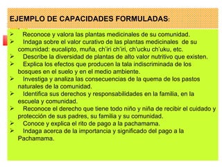 EJEMPLO DE CAPACIDADES FORMULADAS:
     Reconoce y valora las plantas medicinales de su comunidad.
     Indaga sobre el valor curativo de las plantas medicinales de su
    comunidad: eucalipto, muña, ch’iri ch’iri, ch’ucku ch’uku, etc.
     Describe la diversidad de plantas de alto valor nutritivo que existen.
     Explica los efectos que producen la tala indiscriminada de los
    bosques en el suelo y en el medio ambiente.
     Investiga y analiza las consecuencias de la quema de los pastos
    naturales de la comunidad.
     Identifica sus derechos y responsabilidades en la familia, en la
    escuela y comunidad.
     Reconoce el derecho que tiene todo niño y niña de recibir el cuidado y
    protección de sus padres, su familia y su comunidad.
     Conoce y explica el rito de pago a la pachamama.
     Indaga acerca de la importancia y significado del pago a la
    Pachamama.
 