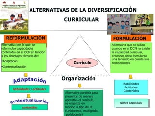 ALTERNATIVAS DE LA DIVERSIFICACIÓN
                                  CURRICULAR


   REFORMULACIÓN                                               FORMULACIÓN
Alternativa por la que se                                      Alternativa que se utiliza
reformulan capacidades                                         cuando en el DCN no existe
contenidas en el DCN en función                                la capacidad curricular,
a los abordajes técnicos de:                                   entonces debe formularse
                                                               una teniendo en cuenta sus
•Adaptación
                                         Currículo             componentes
•Contextualización



                                  Organización
                                                                      Habilidades
                                                                       Actitudes
        Habilidades y actitudes                                       Contenidos
                                   Alternativa paralela para
                                   presentar de manera
                                   operativa el currículo.
                                   se organiza en                   Nueva capacidad
              contenidos           función al tipo de IE
                                   (Unidocente, multigrado,
                                    polidocente)
 