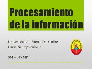 Procesamiento
de la información
Universidad Autónoma Del Caribe
Curso Neuropsicología

SM – SP- MP
 