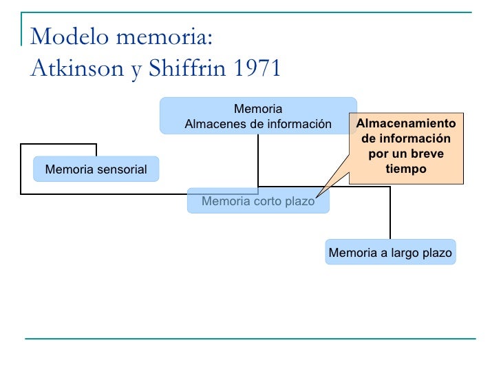 Procesamiento de la información memoria