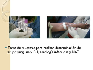 Toma de muestras para realizar determinación de
grupo sanguíneo, BH, serología infecciosa y NAT
 