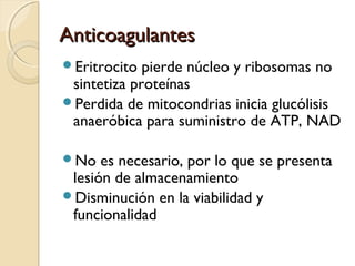 AnticoagulantesAnticoagulantes
Eritrocito pierde núcleo y ribosomas no
sintetiza proteínas
Perdida de mitocondrias inicia glucólisis
anaeróbica para suministro de ATP, NAD
No es necesario, por lo que se presenta
lesión de almacenamiento
Disminución en la viabilidad y
funcionalidad
 