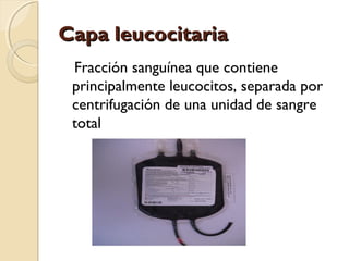Capa leucocitariaCapa leucocitaria
Fracción sanguínea que contiene
principalmente leucocitos, separada por
centrifugación de una unidad de sangre
total
 