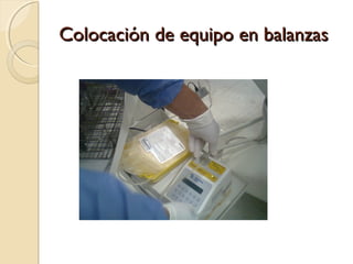 Colocación de equipo en balanzasColocación de equipo en balanzas
 