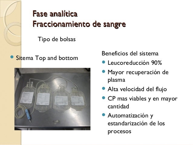 Procesamiento de la sangre