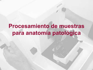 Procesamiento de muestras
para anatomía patológica
 
