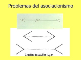 Problemas del asociacionismo Ilusión de Müller-Lyer   
