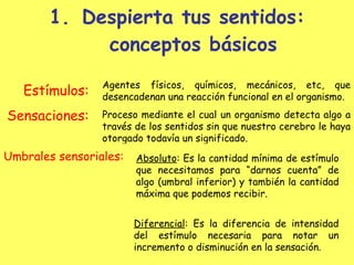 Despierta tus sentidos: conceptos básicos Estímulos: Sensaciones: Agentes físicos, químicos, mecánicos, etc, que desencadenan una reacción funcional en el organismo. Proceso mediante el cual un organismo detecta algo a través de los sentidos sin que nuestro cerebro le haya otorgado todavía un significado. Umbrales sensoriales: Absoluto : Es la cantidad mínima de estímulo que necesitamos para “darnos cuenta” de algo (umbral inferior) y también la cantidad máxima que podemos recibir. Diferencial : Es la diferencia de intensidad del estímulo necesaria para notar un incremento o disminución en la sensación. 