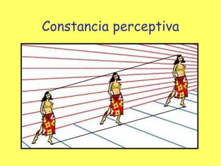 Constancia perceptiva 
