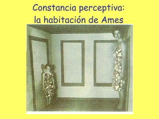 Constancia perceptiva: la habitación de Ames 