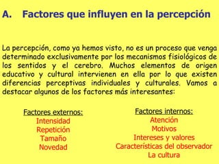 Factores que influyen en la percepción La percepción, como ya hemos visto, no es un proceso que venga determinado exclusivamente por los mecanismos fisiológicos de los sentidos y el cerebro. Muchos elementos de origen educativo y cultural intervienen en ella por lo que existen diferencias perceptivas individuales y culturales. Vamos a destacar algunos de los factores más interesantes: Factores externos: Intensidad Repetición Tamaño Novedad Factores internos: Atención Motivos Intereses y valores Características del observador La cultura 