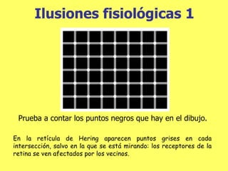Ilusiones  fisiológicas 1 Prueba a contar los puntos negros que hay en el dibujo. En la retícula de Hering aparecen puntos grises en cada intersección, salvo en la que se está mirando: los receptores de la retina se ven afectados por los vecinos. 