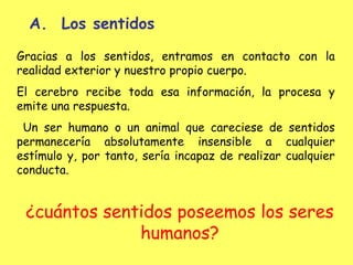 Los sentidos Gracias a los sentidos, entramos en contacto con la realidad exterior y nuestro propio cuerpo.  El cerebro recibe toda esa información, la procesa y emite una respuesta. Un ser humano o un animal que careciese de sentidos permanecería absolutamente insensible a cualquier estímulo y, por tanto, sería incapaz de realizar cualquier conducta. ¿cuántos sentidos poseemos los seres humanos? 