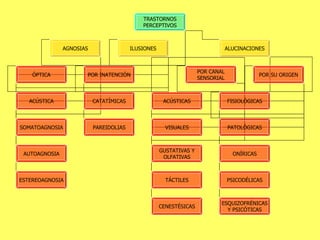 TRASTORNOS PERCEPTIVOS AGNOSIAS ILUSIONES ALUCINACIONES ÓPTICA ACÚSTICA SOMATOAGNOSIA AUTOAGNOSIA ESTEREOAGNOSIA POR INATENCIÓN CATATÍMICAS PAREIDOLIAS POR CANAL SENSORIAL POR SU ORIGEN ACÚSTICAS VISUALES GUSTATIVAS Y OLFATIVAS TÁCTILES FISIOLÓGICAS PATOLÓGICAS ONÍRICAS PSICODÉLICAS ESQUIZOFRÉNICAS Y PSICÓTICAS CENESTÉSICAS 