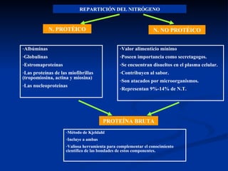 REPARTICIÓN DEL NITRÓGENO N. PROTÉICO Albúminas  Globulinas  Estromaproteínas Las proteínas de las miofibrillas (tropomiosina, actina y miosina) Las nucleoproteínas N. NO PROTÉICO Valor alimenticio mínimo Poseen importancia como secretagogos.  Se encuentran disueltos en el plasma celular.  Contribuyen al sabor.  Son atacados por microorganismos.  Representan 9%-14% de N.T. PROTEÍNA BRUTA Método de Kjeldahl Incluye a ambas Valiosa herramienta para complementar el conocimiento científico de las bondades de estos componentes. 