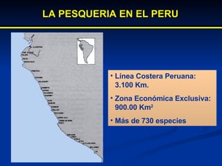 Línea Costera Peruana: 3.100 Km. Zona Económica Exclusiva: 900.00 Km 2 Más de 730 especies LA PESQUERIA EN EL PERU 