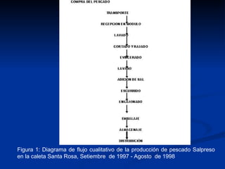 Figura 1: Diagrama de flujo cualitativo de la producción de pescado Salpreso en la caleta Santa Rosa, Setiembre  de 1997 - Agosto  de 1998 